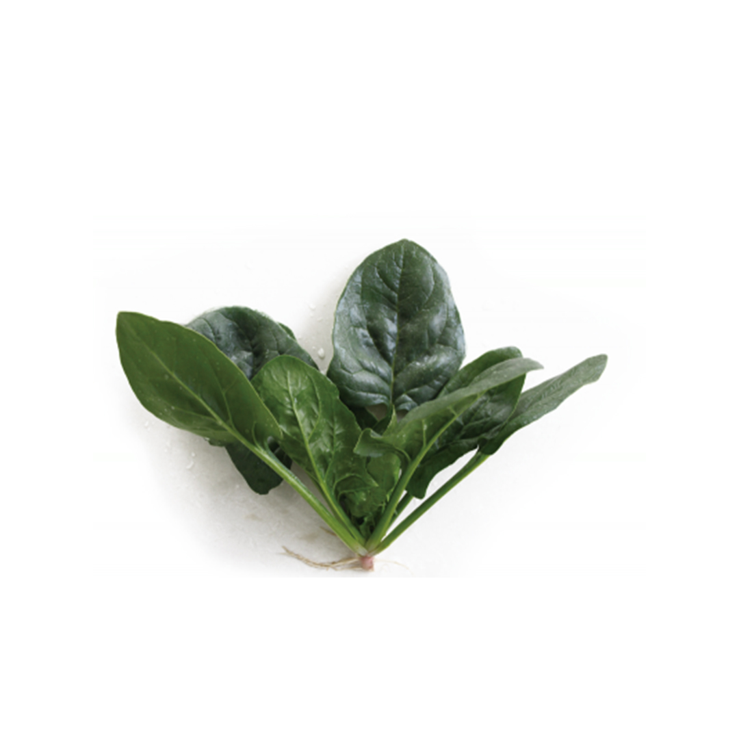 Σπανάκι ACOSTA F1 100.000s | FYTRO