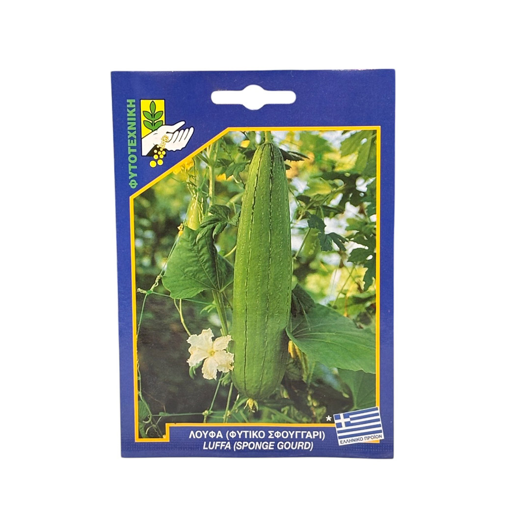 Σπόρος Λούφα (φυτικό σφουγγάρι) Σπόρος Λούφα (φυτικό σφουγγάρι)