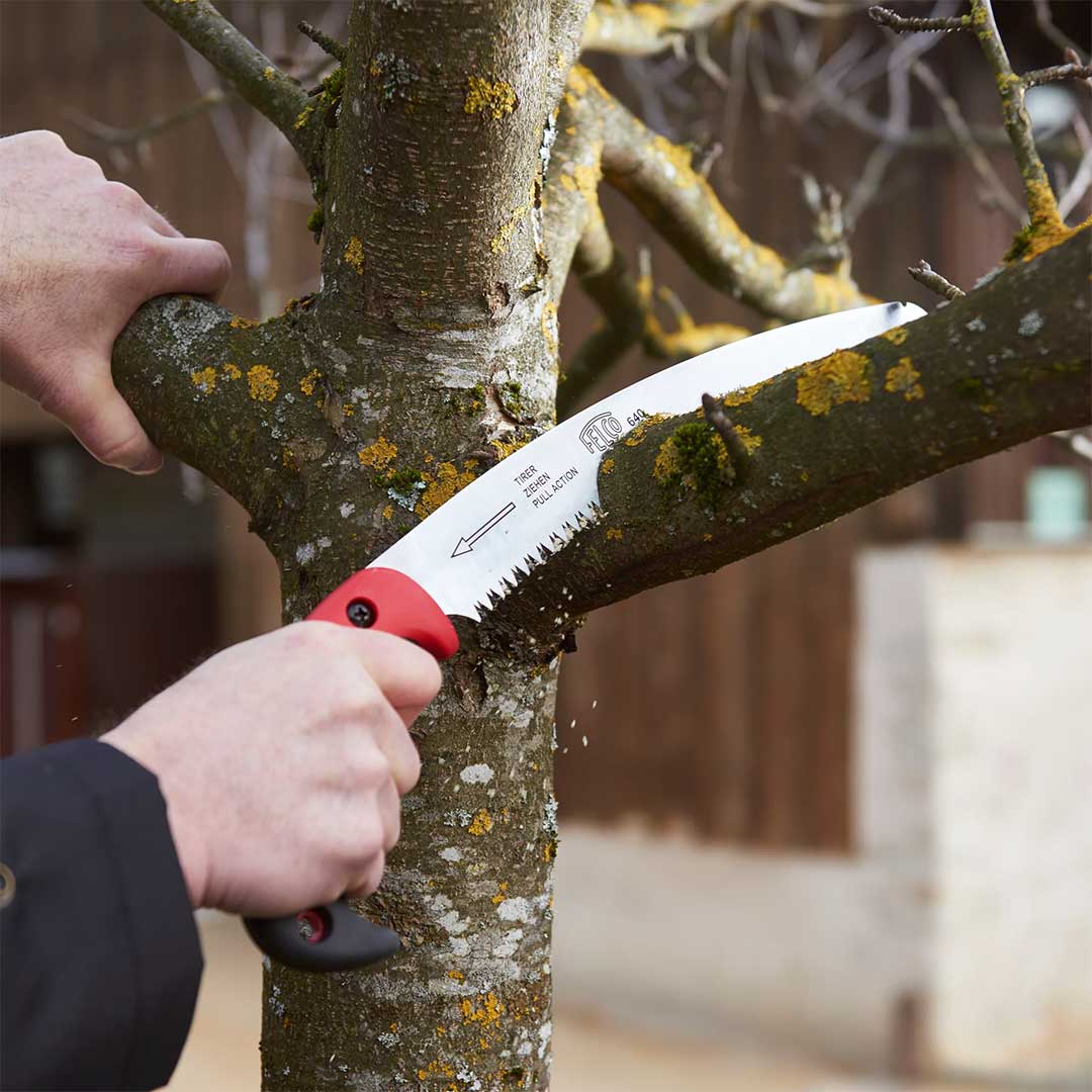 Πριόνι FELCO 640 με Θήκη 270mm | FELCO