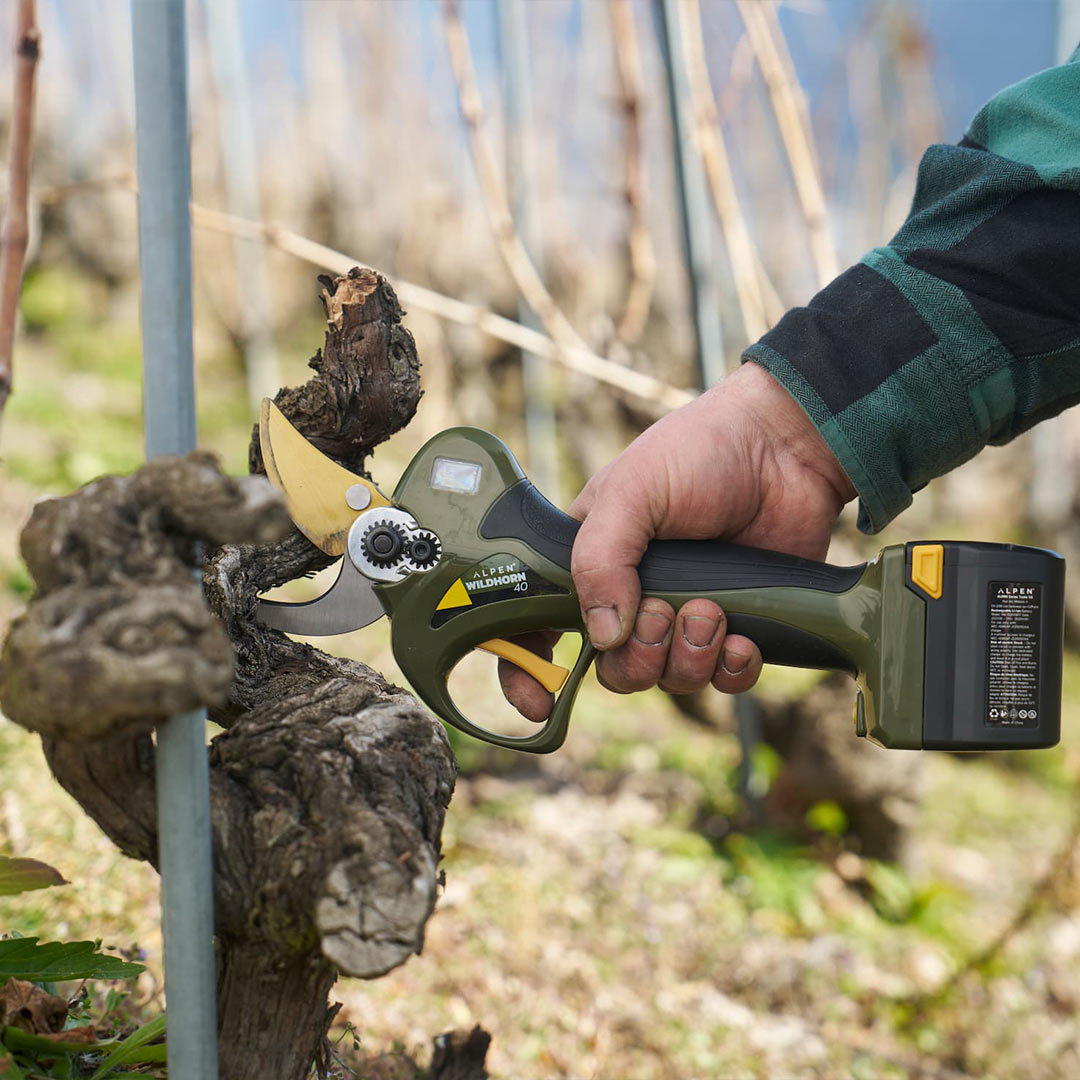 ALPEN WILDHORN 40 | Ψαλίδι Κλαδέματος Μπαταρίας ALPEN WILDHORN 40 | Ψαλίδι Κλαδέματος Μπαταρίας